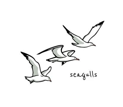 Hand drawn seagulls Stock Illustration
