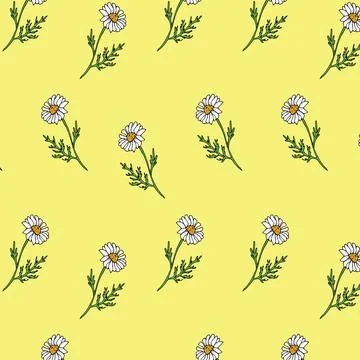 Hand drawn seamless chamomile pattern on yellow Stock Illustration