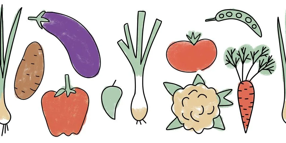 Hand drawn seamless horizontal border illustration of organic healthy vegetables Stock Illustration