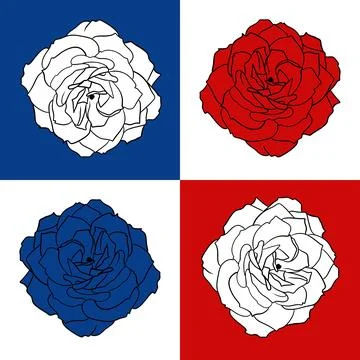 Hand drawn seamless pattern 4th of july patriotic Independence day floral rose Stock Illustration