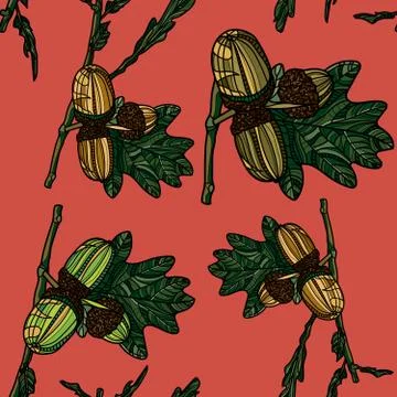 Hand drawn seamless pattern with acorns. Stock Illustration