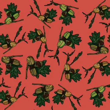Hand drawn seamless pattern with acorns. Illustrazione stock