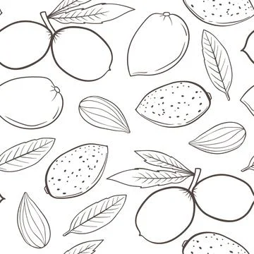 Hand drawn seamless pattern with almond. Stock Illustration