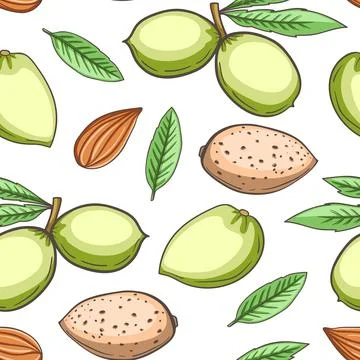 Hand drawn seamless pattern with almond. Stock Illustration