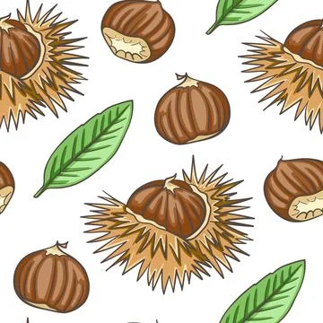 Hand drawn seamless pattern with chestnut. Stock Illustration