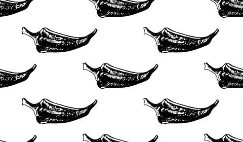 Hand drawn seamless pattern of chilli pepper. Stock Illustration