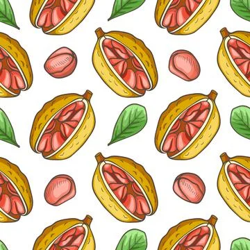 Hand drawn seamless pattern with cola nut. Stock Illustration