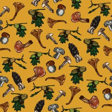 Hand drawn seamless pattern with different mushrooms and acorns. Stock Illustration