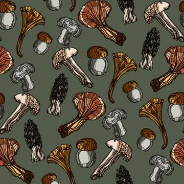 Hand drawn seamless pattern with mushrooms. Stock Illustration