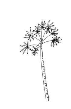 Hand-drawn seamless pattern with palm trees, isolated on white background Stock Illustration