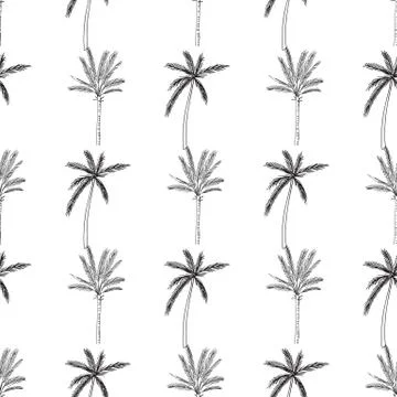 Hand-drawn seamless pattern with palm trees, isolated on white background Stock Illustration