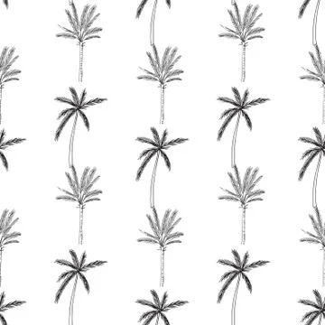 Hand-drawn seamless pattern with palm trees, isolated on white background Stock Illustration
