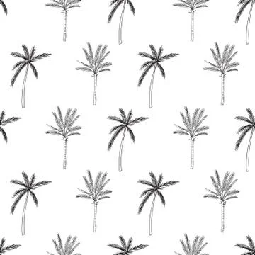 Hand-drawn seamless pattern with palm trees, isolated on white background Stock Illustration