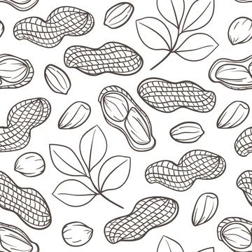 Hand drawn seamless pattern with peanuts. Stock Illustration