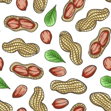 Hand drawn seamless pattern with peanuts. Stock Illustration