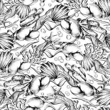 Hand drawn seamless pattern of underwater life with various decorative shell Illustrazione stock