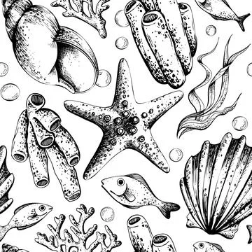 Hand drawn seamless pattern of underwater marine life. Line art graphic Stock Illustration