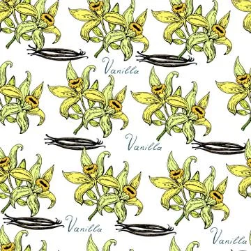 Hand drawn seamless pattern with vanilla flowers Stock Illustration