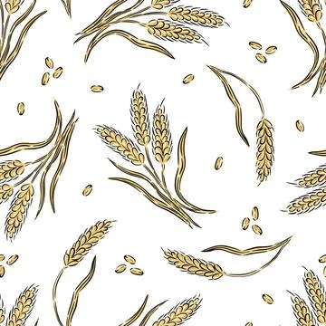Hand drawn seamless pattern of wheat plants with grains on a white background Stock Illustration