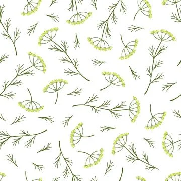 Hand drawn seamless pattern with wild hay flowers. Yarrow milfoil. Medical he 스톡 일러스트