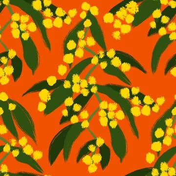 Hand drawn seamless pattern with yellow zig zag wattle, Acacia macradenia Stock Illustration