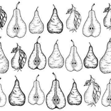 Hand drawn seamless patternn with sliced pear and leaves. Engraved design Stock Illustration