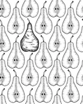 Hand drawn seamless patternn with sliced pear and leaves. Engraved design Stock Illustration