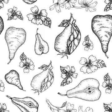 Hand drawn seamless patternn with sliced pear. flower and leaves. Engraved Stock Illustration