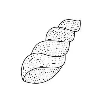 Hand drawn seashell icon isolated on white background. Vector illustration. Stock Illustration