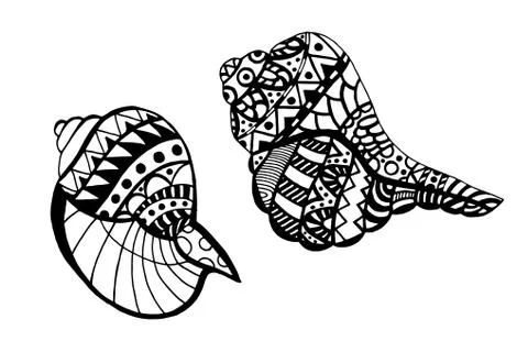 Hand drawn seashell Stock Illustration