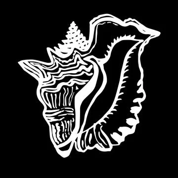 Hand drawn seashell in live line style white ink on black background. Stock Illustration