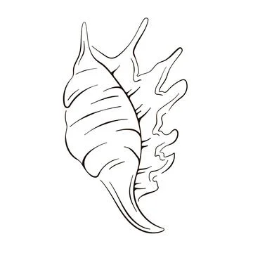 Hand drawn seashell logo in line art style. Vector illustration isolated on a Stock Illustration