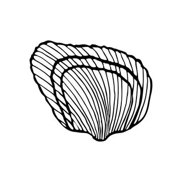 Hand-drawn seashell spiral, isolated black outline on white background. Stock Illustration