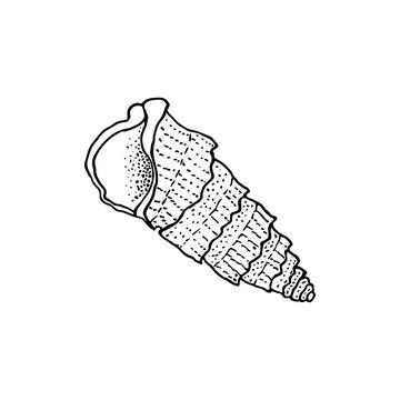Hand-drawn seashell spiral with a texture of many dots. Stock Illustration