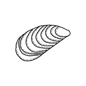 Hand-drawn seashell spiral with a texture of many dots. Stock Illustration