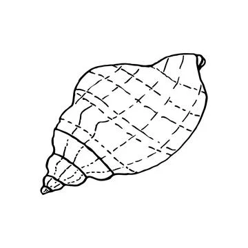 Hand-drawn seashell spiral with a texture of many dots. Stock Illustration