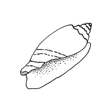 Hand-drawn seashell spiral with a texture of many dots. Stock Illustration