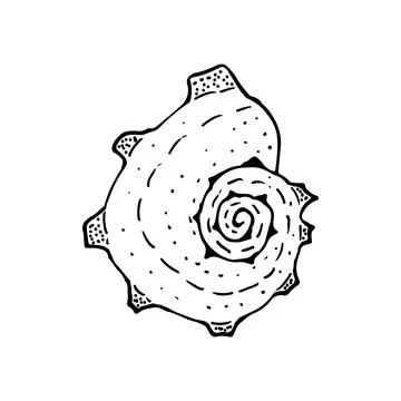 Hand-drawn seashell spiral with a texture of many dots. Stock Illustration