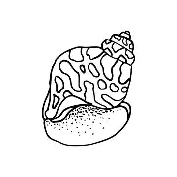 Hand-drawn seashell spiral with a texture of many dots. Stock Illustration