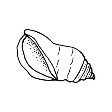 Hand-drawn seashell spiral with a texture of many dots. Stock Illustration