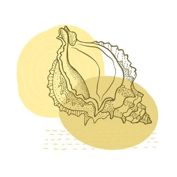 Hand-drawn seashell spiral with a texture of many dots. Stock Illustration