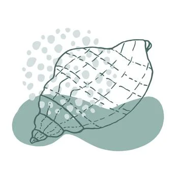 Hand-drawn seashell spiral with a texture of many dots. Stock Illustration
