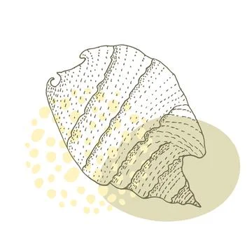 Hand-drawn seashell spiral with a texture of many dots. Stock Illustration
