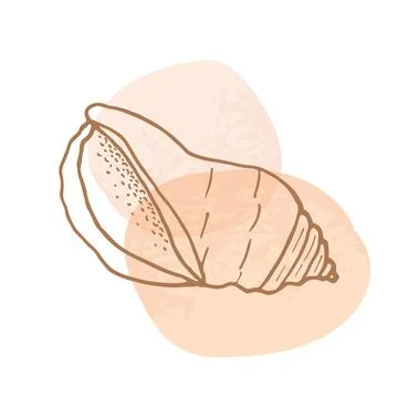 Hand-drawn seashell spiral with a texture of many dots. Stock Illustration