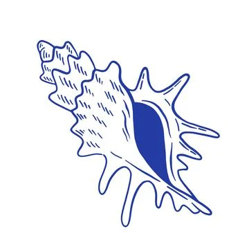 Hand drawn seashell vector illustration. Minimalist doodle sealife, line ar.. Stock Illustration