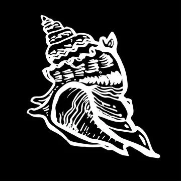Hand drawn seashell in wild line style of white ink on black background. Stock Illustration