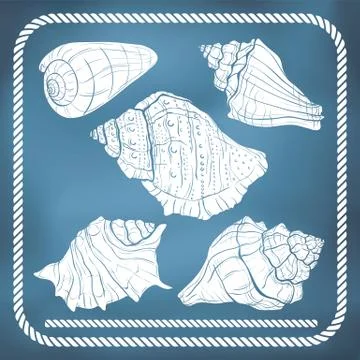 Hand drawn seashells Stock Illustration