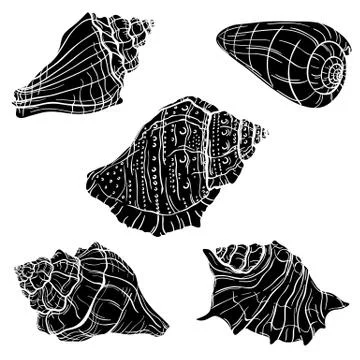 Hand drawn seashells Stock Illustration