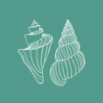 Hand drawn seashells Illustrazione stock