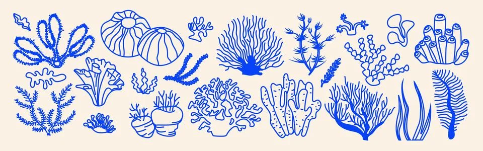 Hand drawn seaweed vector set in minimalist blue line style. Marine plants .. Illustrazione stock